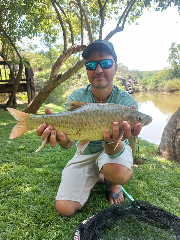 Lowveld largescale yellowfish caught at Aloe Rock Lodge