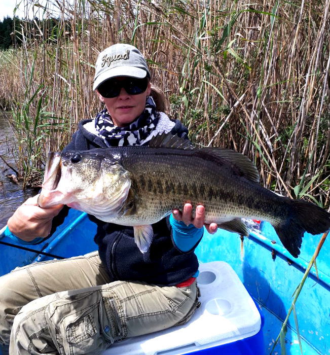 Monster bass caught at Beacon Vlei