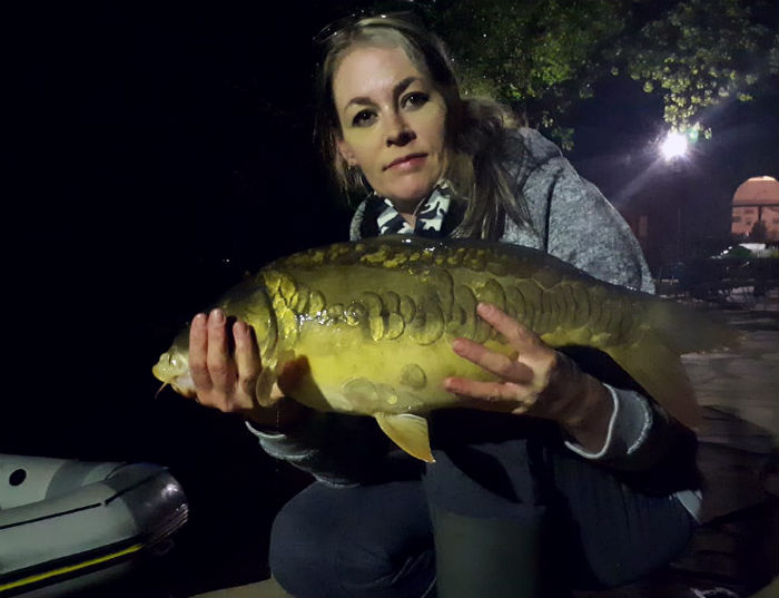 Mirror carp caught at The Boathouse, Boskop Dam