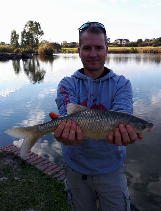 Smallmouth yellowfish caught at Oppiwalle, Vaal River