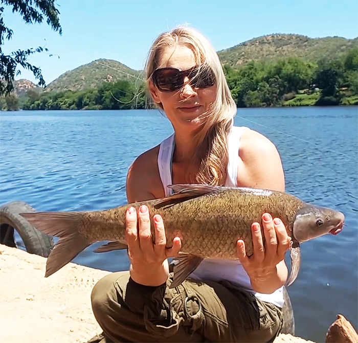 Orange river mudfish caught at Erkhamka, Vaal River