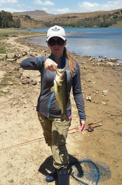 Nice bass on a crank