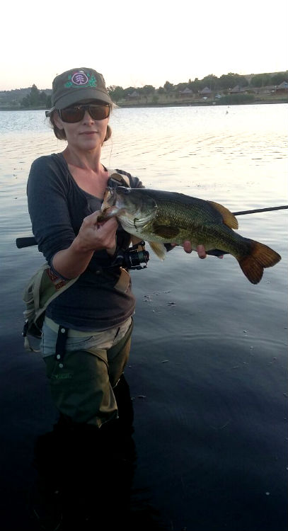 bass2