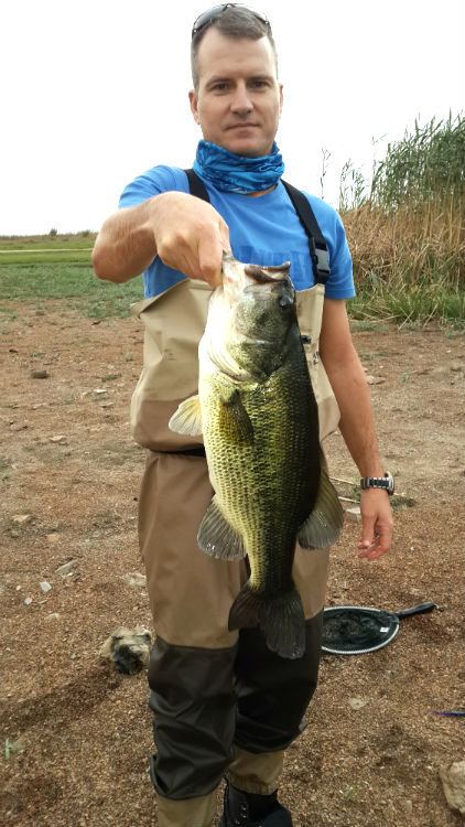 bass3