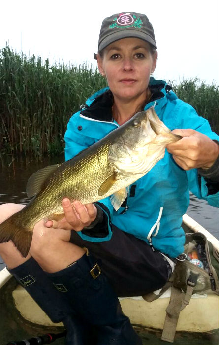 One of the many decent bass
