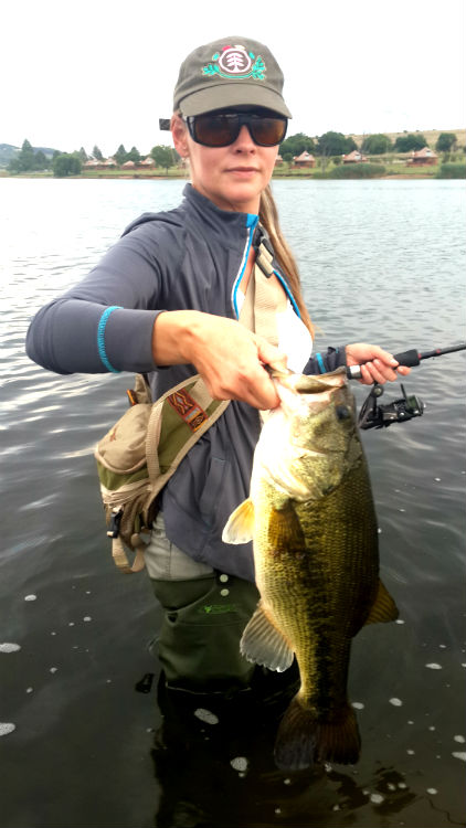 bass4