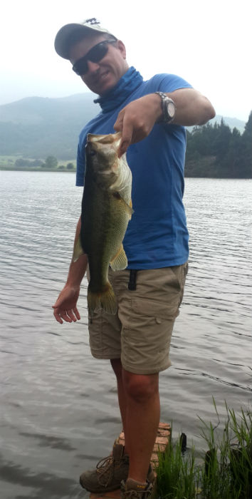 Bass caught from the front lawn