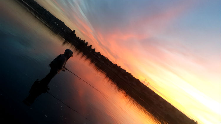 bass5