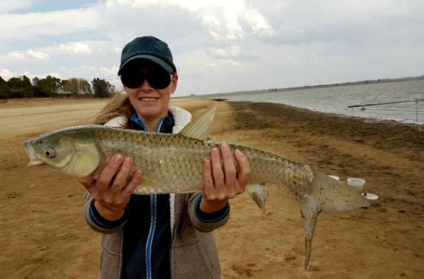 My first grass carp