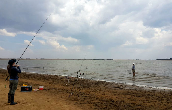 Another grass carp?