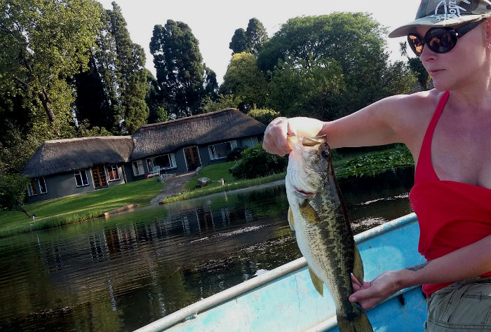 Beacon Vlei bass with view of house, and Cadbury the cat waiting patiently for our return