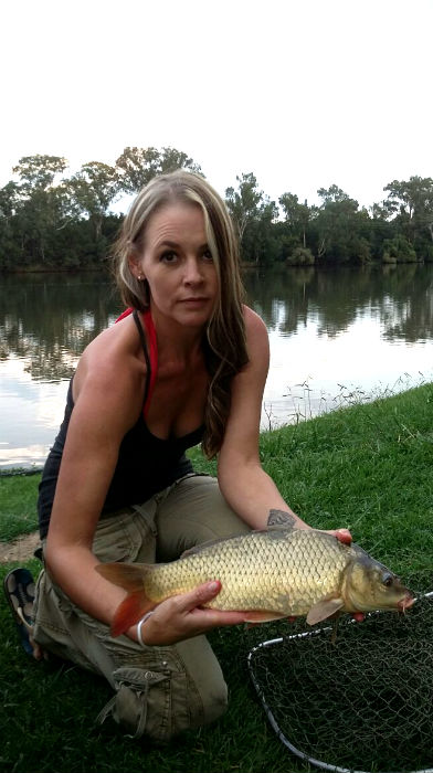Got a few average carp