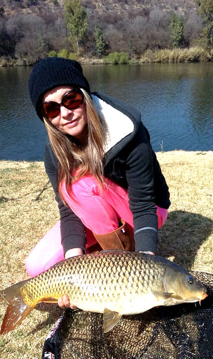 Nice fat river carp