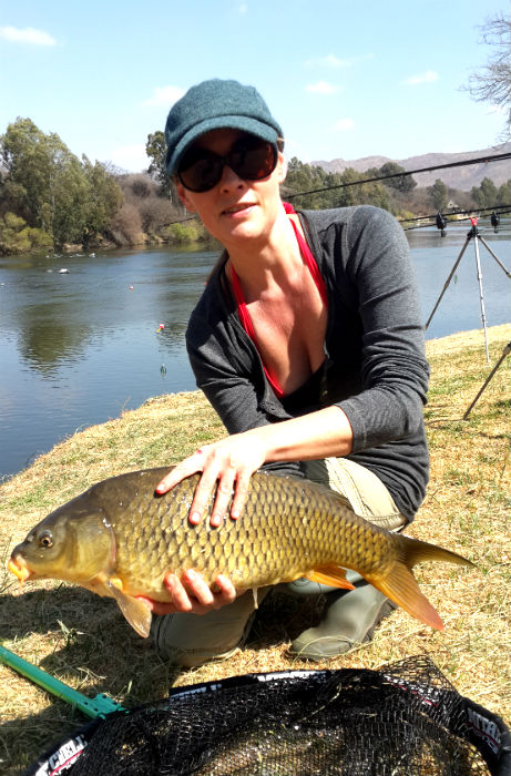Another beautiful fish