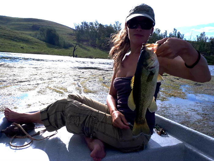 Some nice bass were lurking around the grass beds