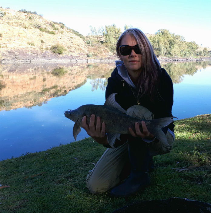 I was lucky enough to catch a few really nice mudfish at Flamingos River Lodge, Vaal River