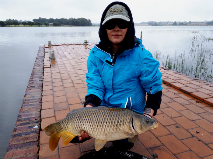 A big carp makes fishing in the rain worthwhile