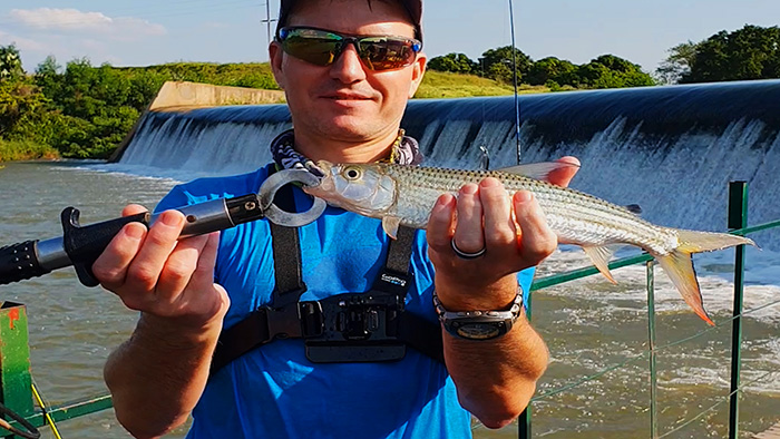 The one and only tiger fish caught at Komati River, at least we had the whole barge to ourselves which was great fun