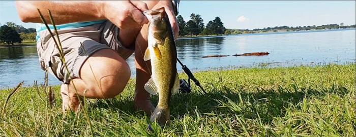 We only caught small bass at Midmar Dam Kwazulu Natal, but they were feisty