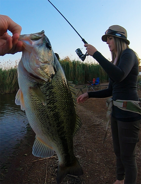 I caught this nice little bass in front of our chalet at Rietvlei Dam