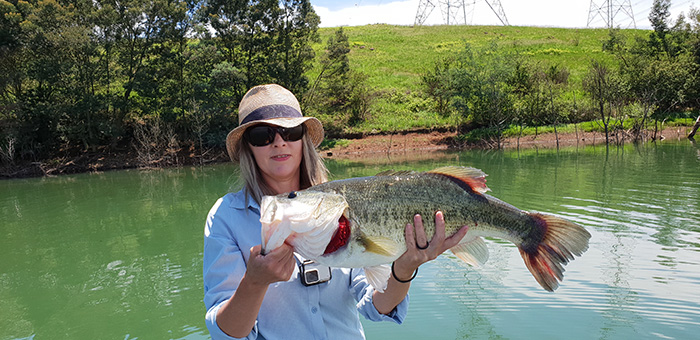 Midmar 2020 my monster bass caught on a 5.5" green pumpkin teat tail word by Smash Bass Baits