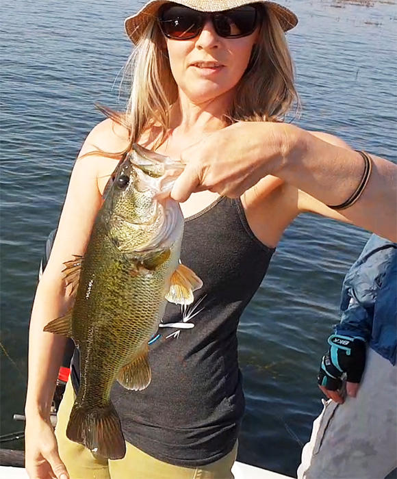 Linky with another one of many bass