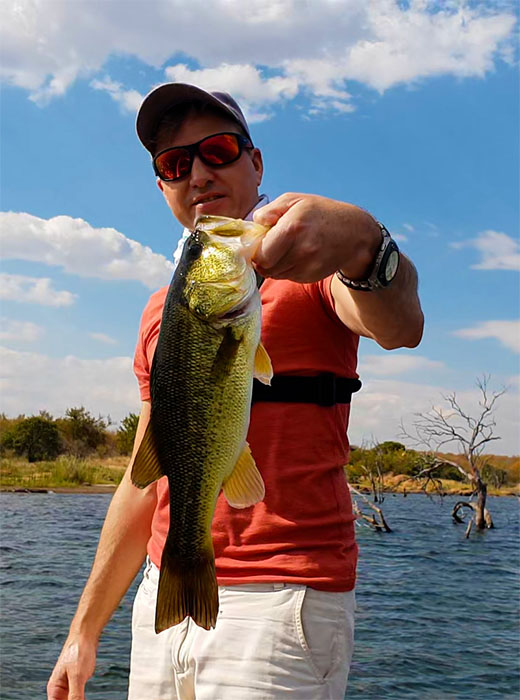 Aloe park arabie dam martin bass