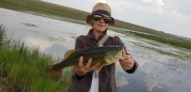 Green thumb dam1 fish4