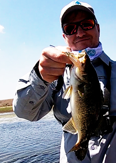 Middelburg dam bass martin 1