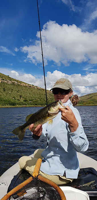 Mountain rest linky baby bass 5