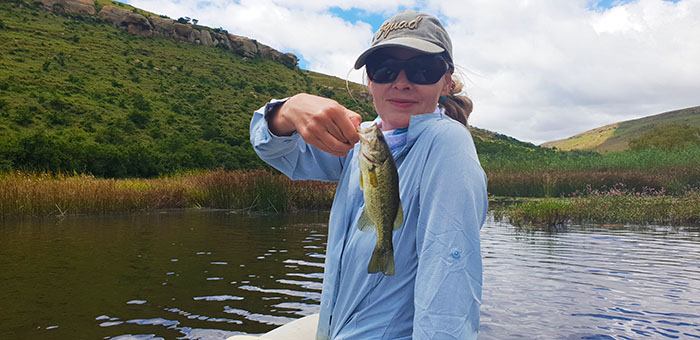 Mountain rest linky baby bass