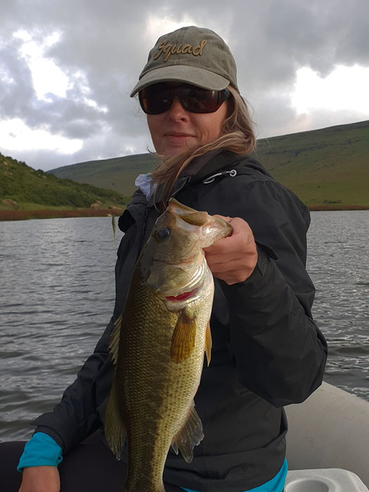 Mountain rest linky bass