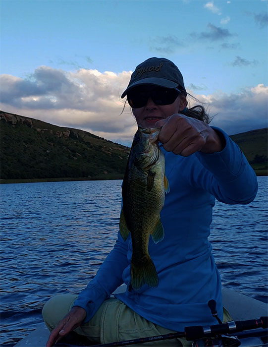 Mountain rest more bass