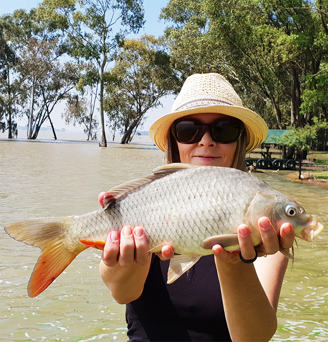 Van der walts vaal dam linky carp small