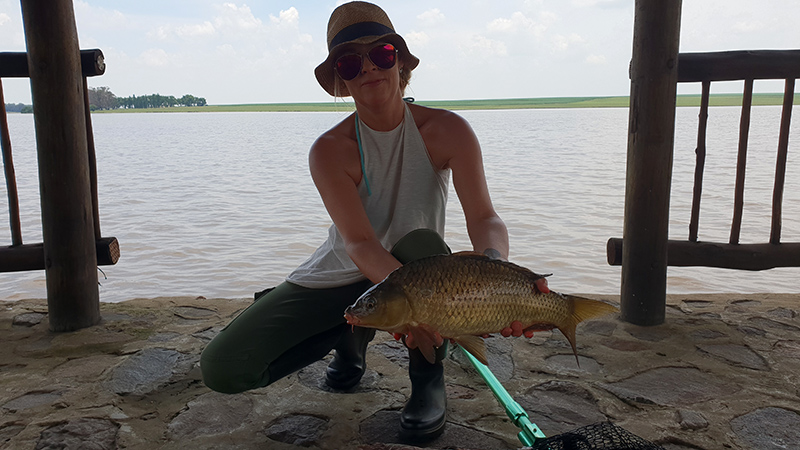 Grootdraai dam carp under lapa