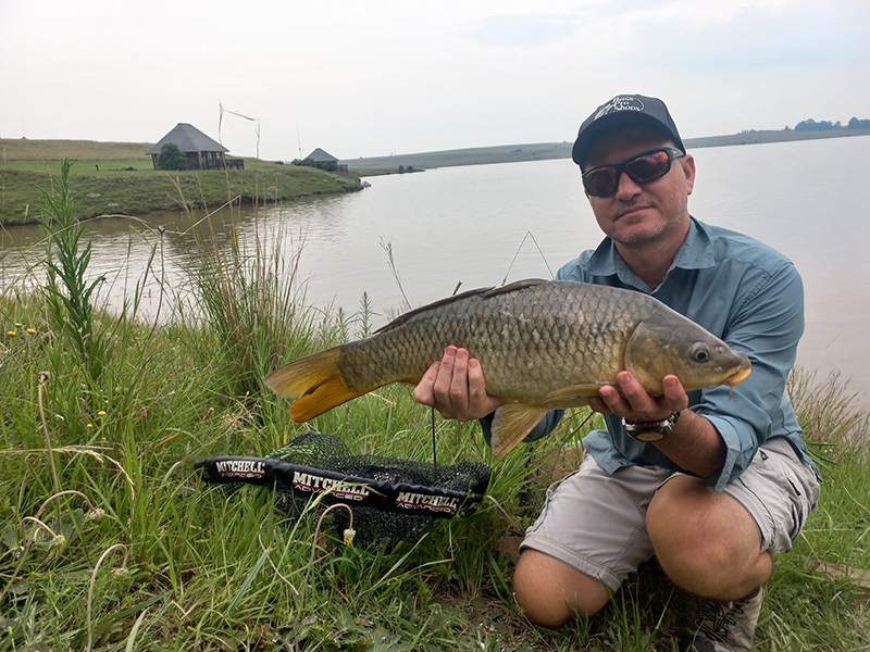 Grootdraai dam decent carp