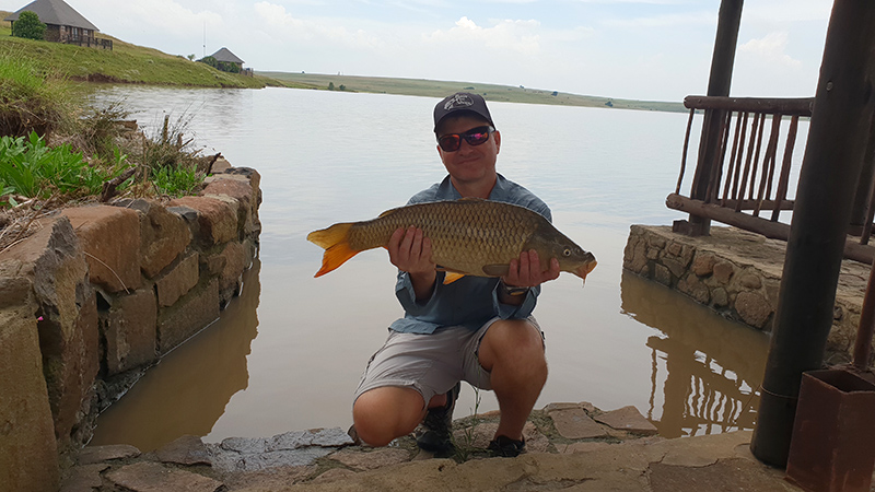 Grootdraai dam nice carp on steps