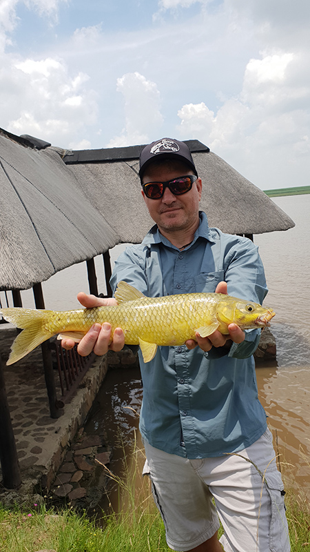 Grootdraai dam nice yellowfish
