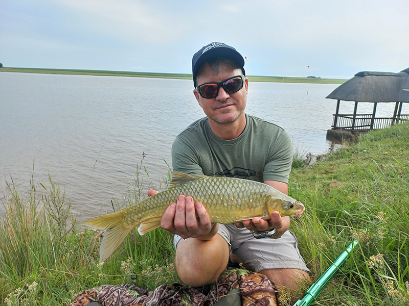Grootdraai dam yellowfish 2
