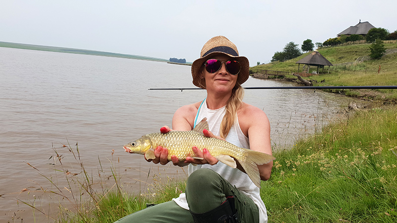 Grootdraai dam yellowfish