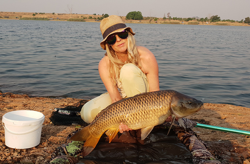 Linky carp pb rietvlei dam