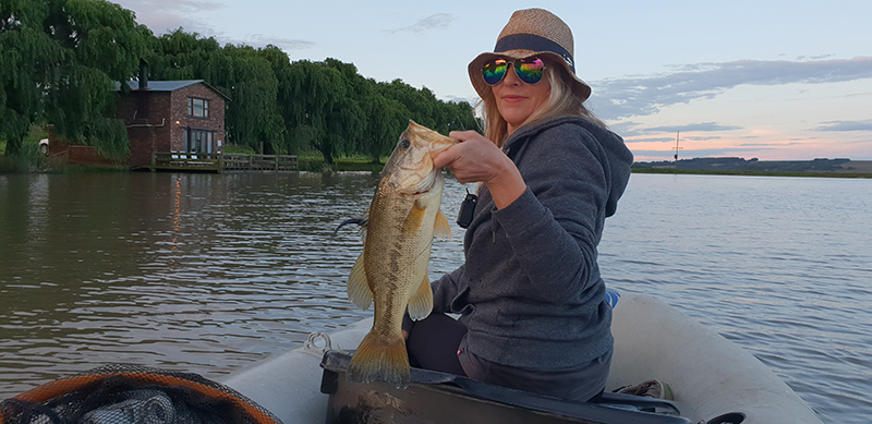Willow tree cottage boat bass fishing 2