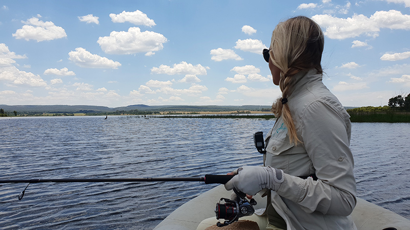 Apache resort koster dam bass fishing