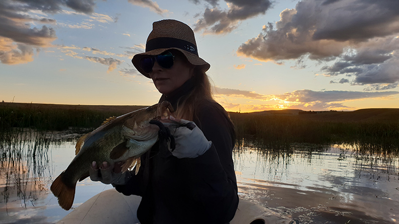 Little long creek sunset bass