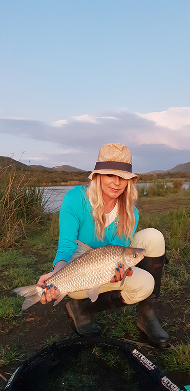 Loskop dam rednose mudfish linky