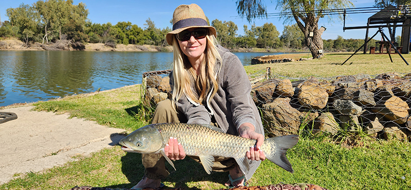 Umgede lodge bloemhof grass carp