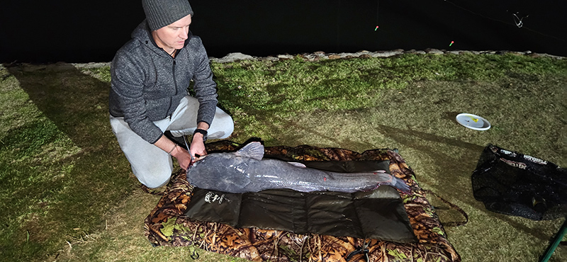 Umgede lodge bloemhof monster barbel on mat