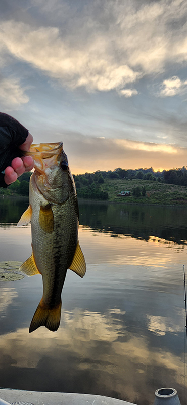 A small bass caught during sunset at Stanford Lake Lodge