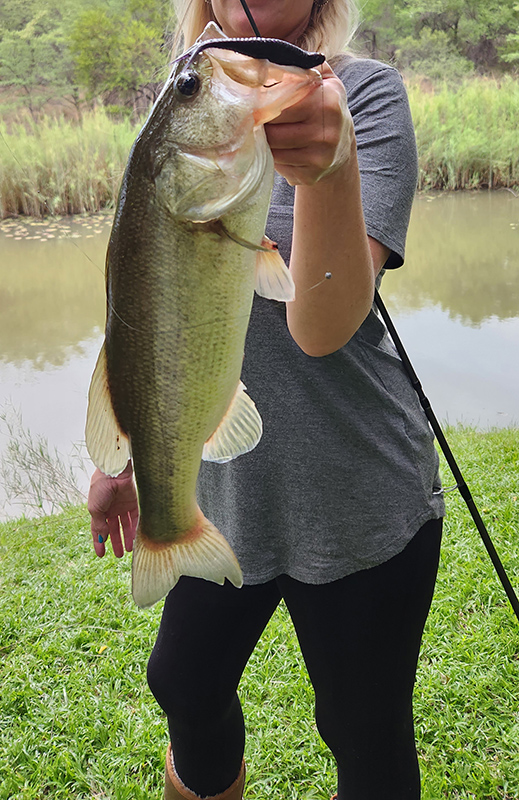 A big bass caught at Aloe Rock Lodge