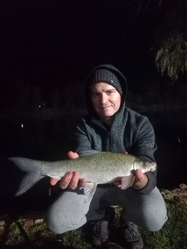 Another mudfish caught at Umgede River Lodge, Bloemhof